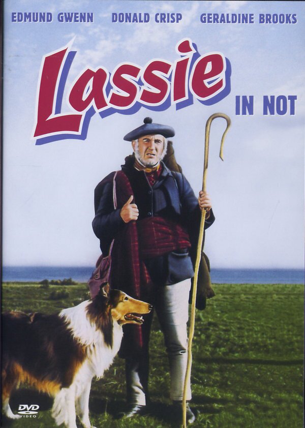 Lassie in Not