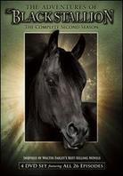 The Adventures of Black Stallion - Season 2 4 DVDs