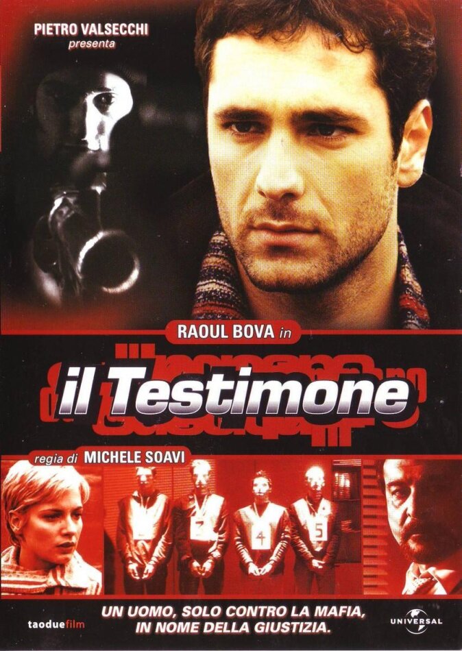 Il testimone (2007)