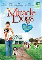 Miracle Dogs (2003)