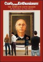Curb Your Enthusiasm - Season 6 2 DVDs