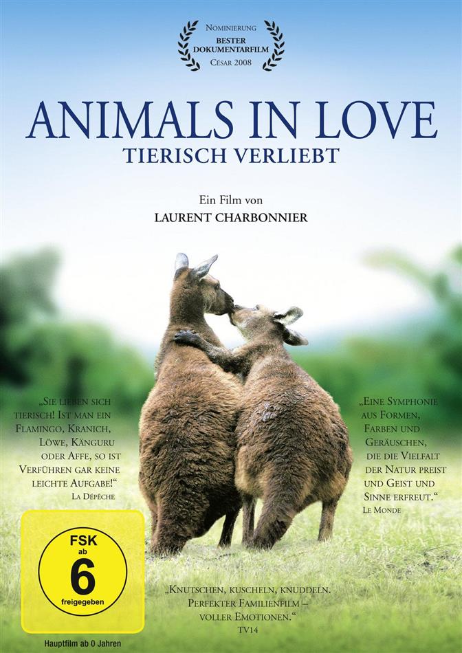 Animals in love