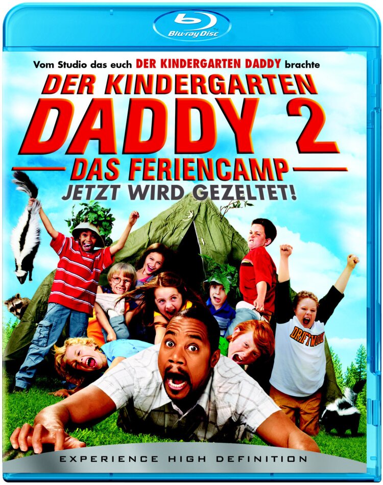 Der Kindergarten Daddy 2 - Das Feriencamp (2007)