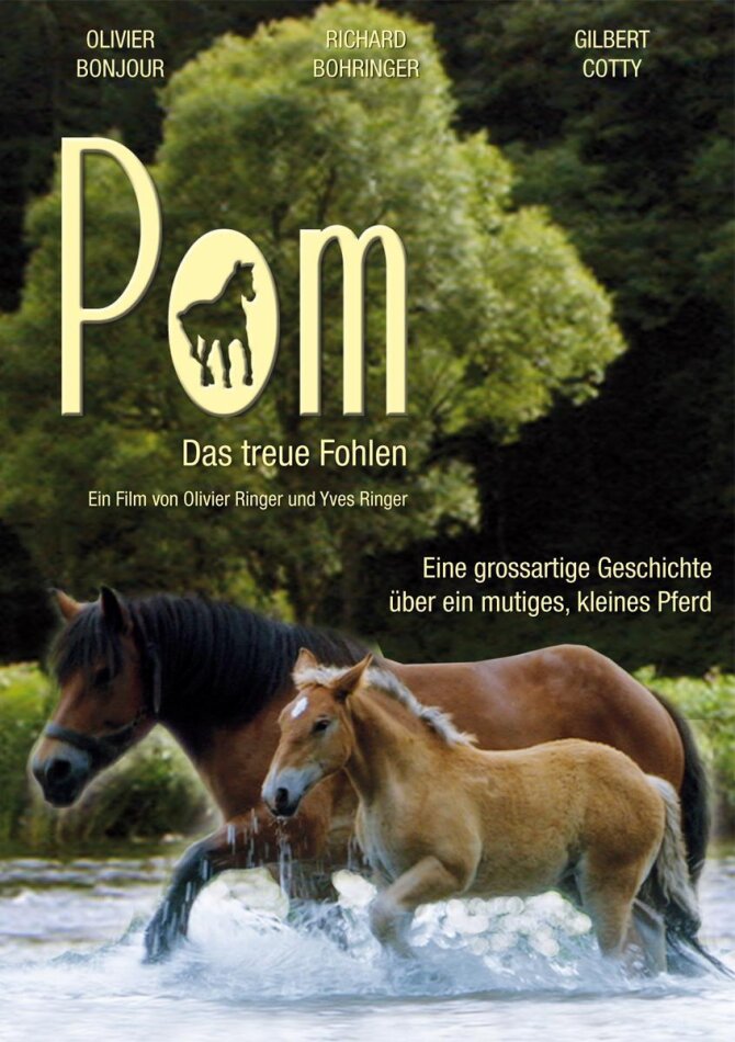 Pom - Das treue Fohlen