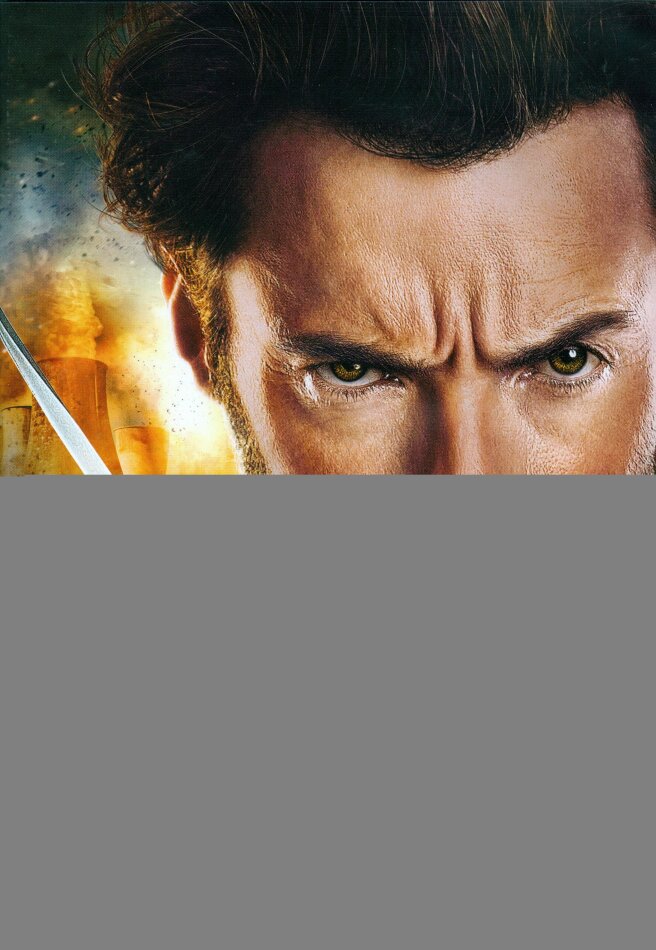 X-Men Origins: Wolverine (2009)