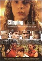 Clipping Adam