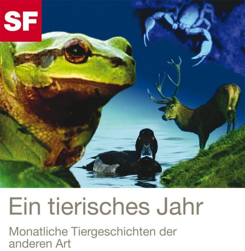 Ein tierisches Jahr