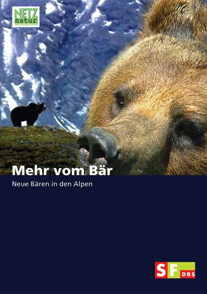 Mehr vom Bär - Neue Bären in den Alpen Netz Natur