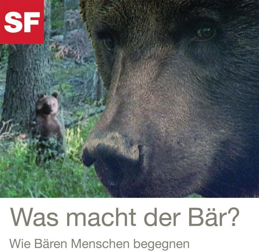 Was macht der Bär?