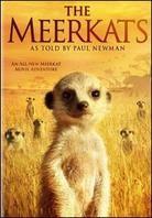 The Meerkats (2008)