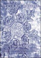 Escape To Nature - Vol. 7: The Beauty of Winter