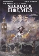 Sherlock Holmes (2009)