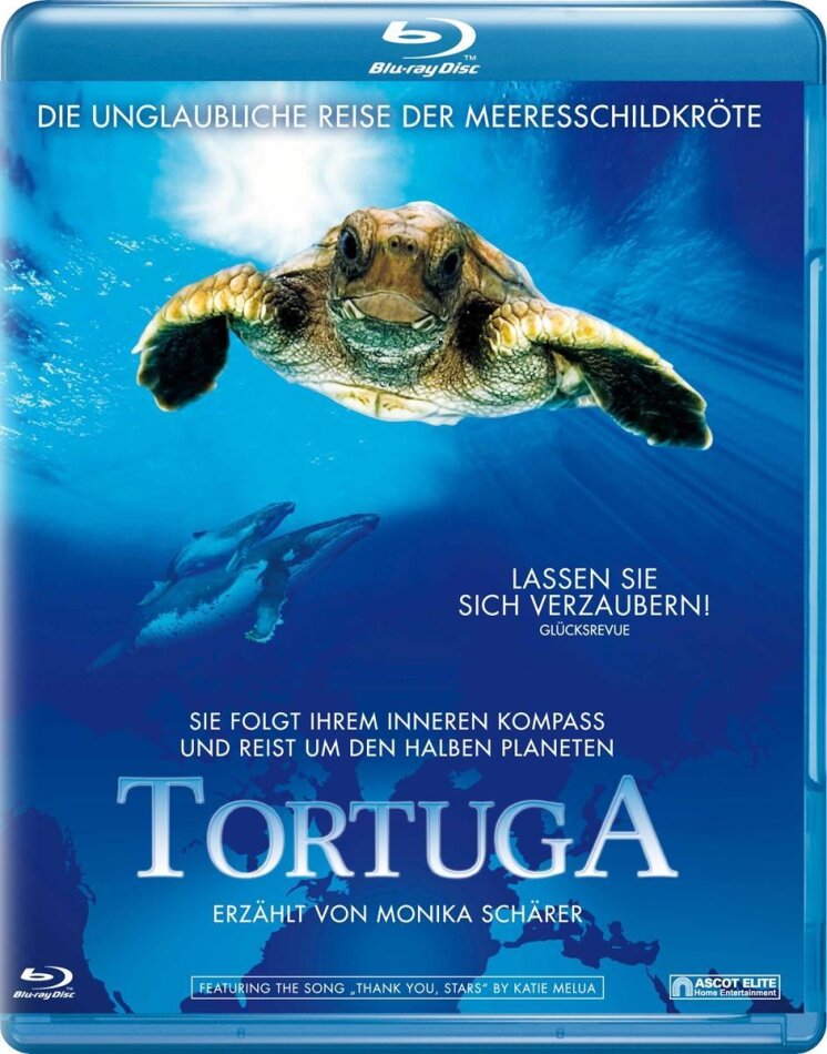 Tortuga - Die unglaubliche Reise der Meeresschildkröte - The Turtles Song (2008) (2009)