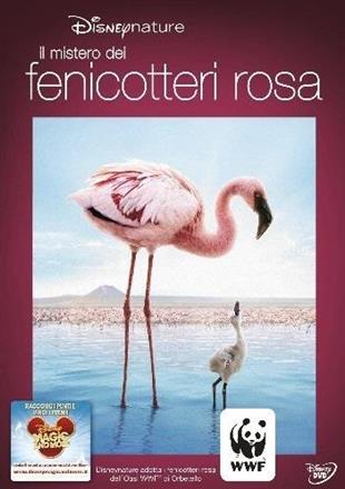Il mistero dei fenicotteri rosa