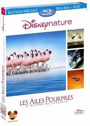 Les ailes pourpres - le mystère des flamants Blu-ray + DVD