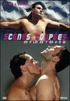 Scènes coupées (2010) Collection Rainbow