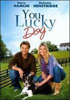 You Lucky Dog