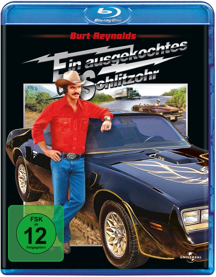 Ein ausgekochtes Schlitzohr (1977)