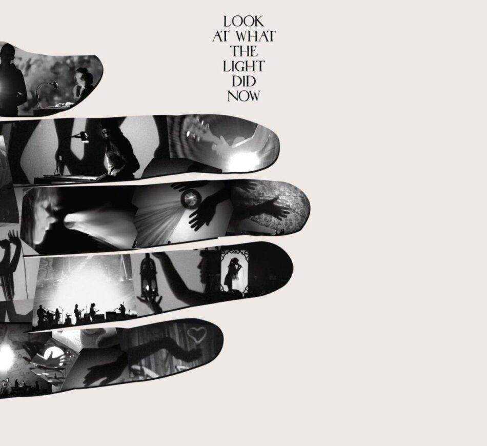 Feist - Look at what the Light did now DVD + CD