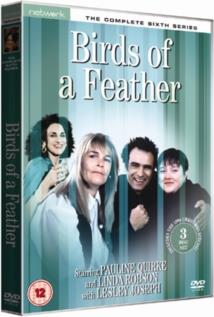 Birds of a feather - Series 6 3 DVDs