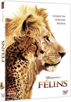 F&eacute;lins - Le Royaume du Courage (2011)