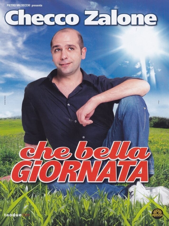 Che bella giornata (2011)