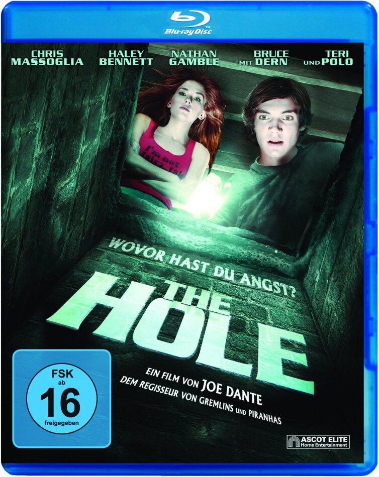 The Hole (2009)