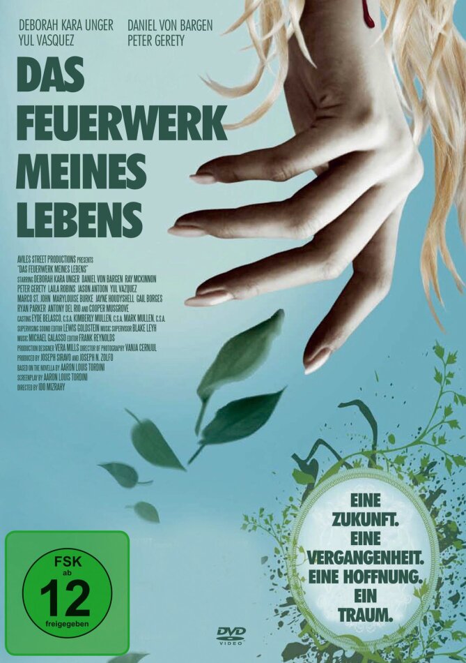 Das Feuerwerk meines Lebens