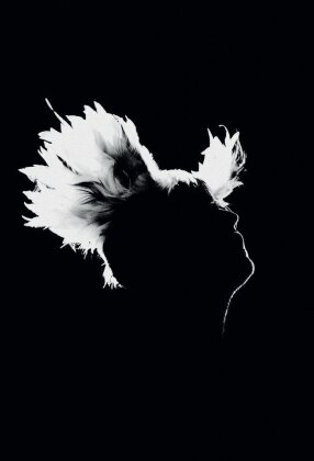 M - Bercy - 17.12.2011