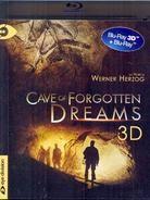 Cave of Forgotten Dreams (2010)
