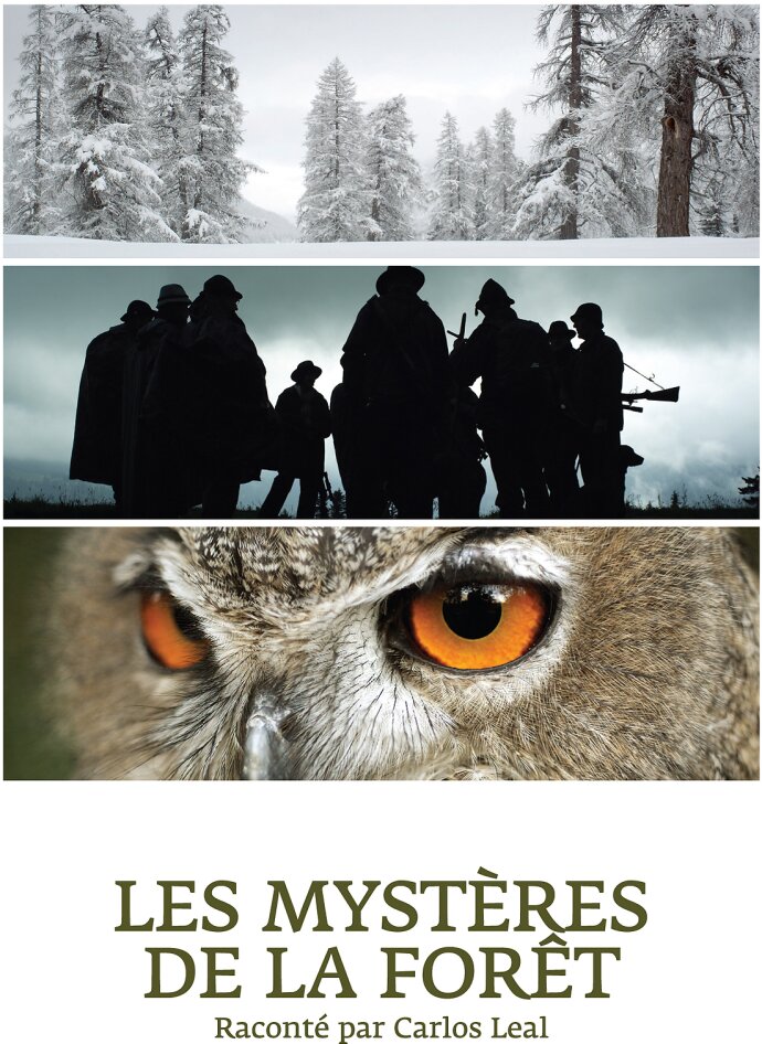 Les mystères de la forêt - (Reconté par Carlos Leal)