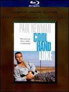 Cool Hand Luke (1967)