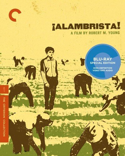 Alambrista Criterion Collection