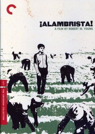 Alambrista Criterion Collection
