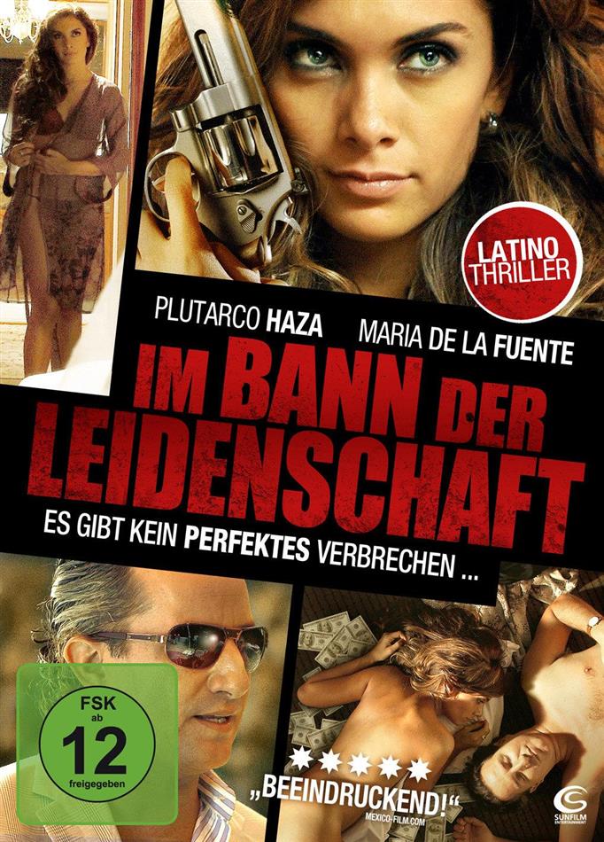 Im Bann der Leidenschaft (2011)
