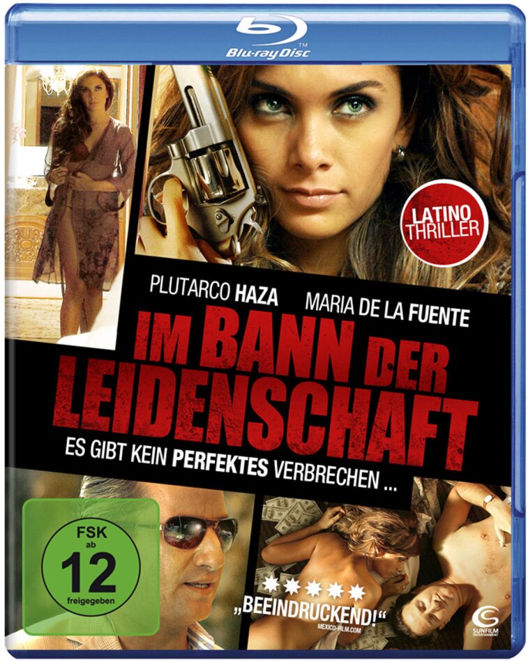 Im Bann der Leidenschaft (2011)