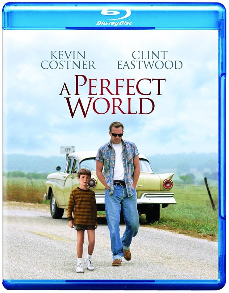 A Perfect World (1993)