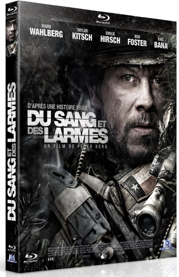 Du sang et des larmes (2013)