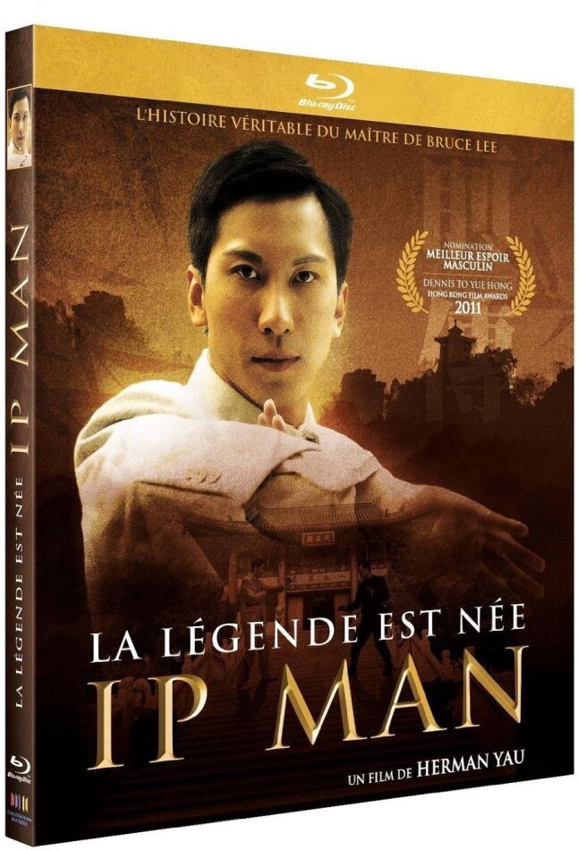 Ip Man - La légende est née (2010)
