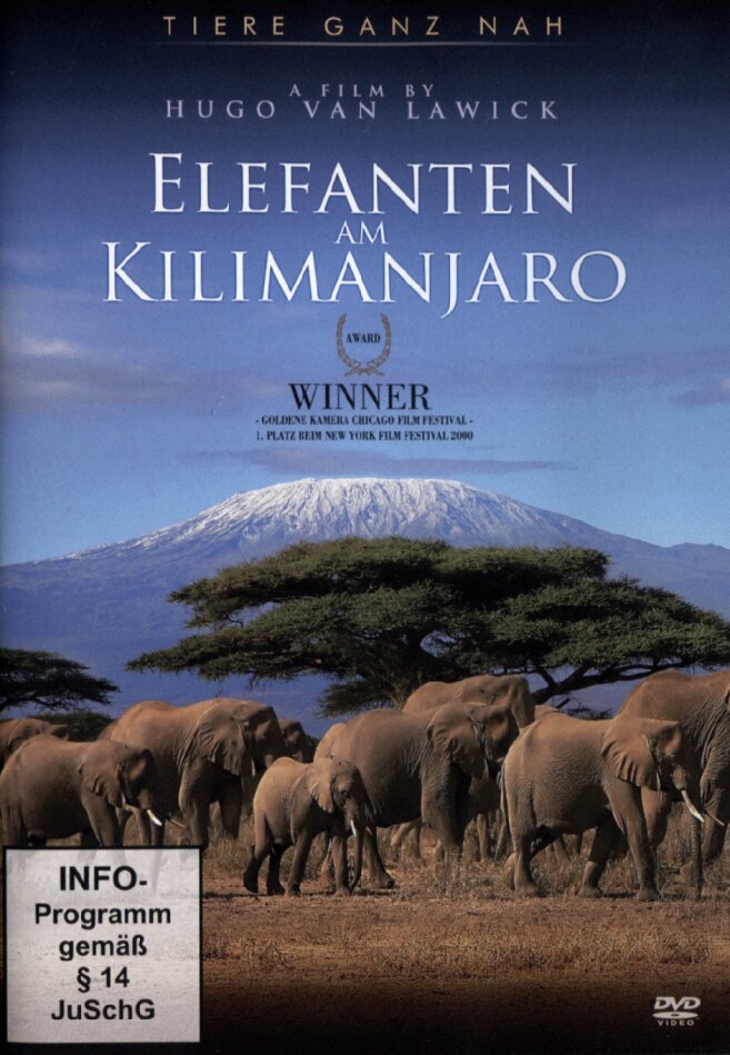 Elefanten am Kilimanjaro