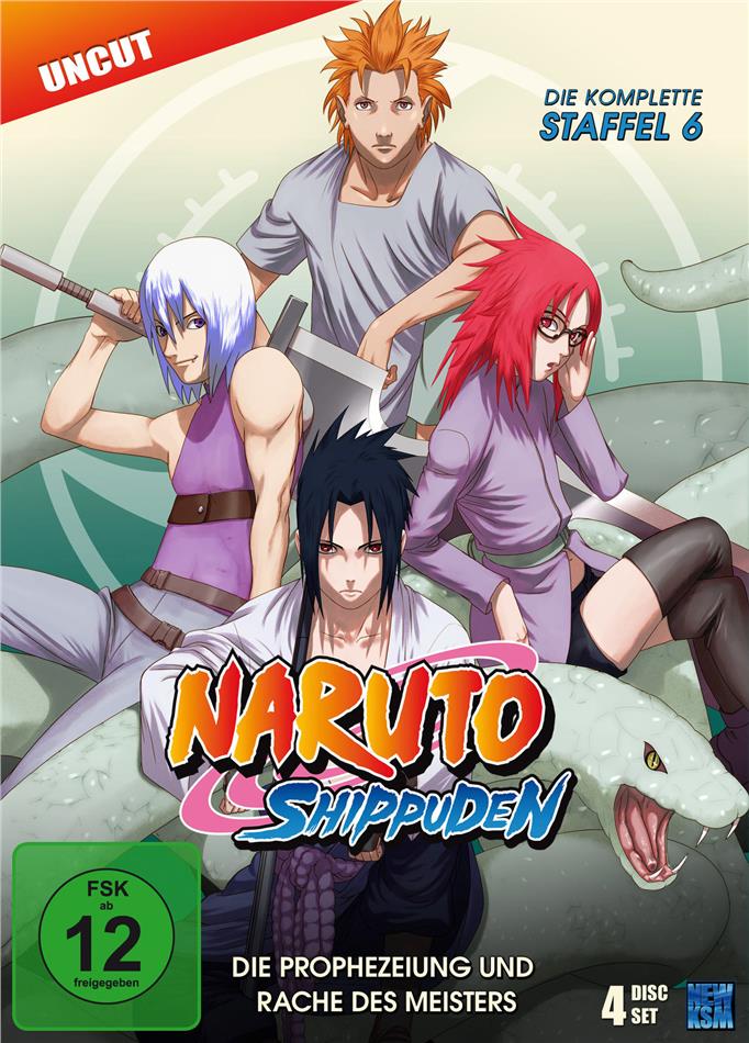 Naruto Shippuden - Staffel 6 4 DVDs