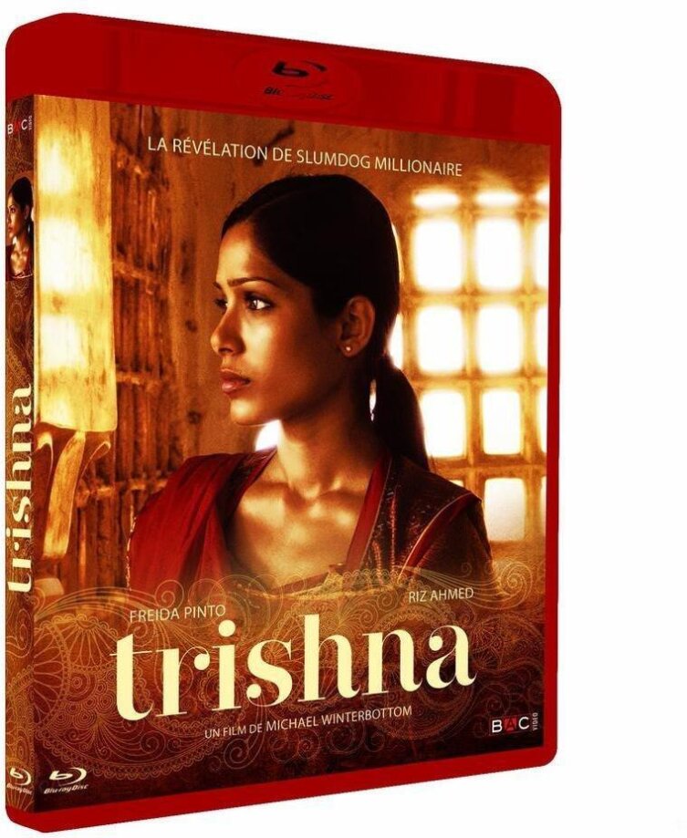 Trishna (2011)