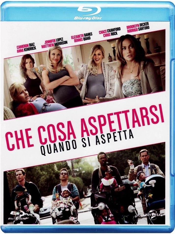 Che cosa aspettarsi quando si aspetta (2012)