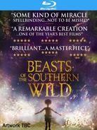 Beasts of the Southern Wild (2012)