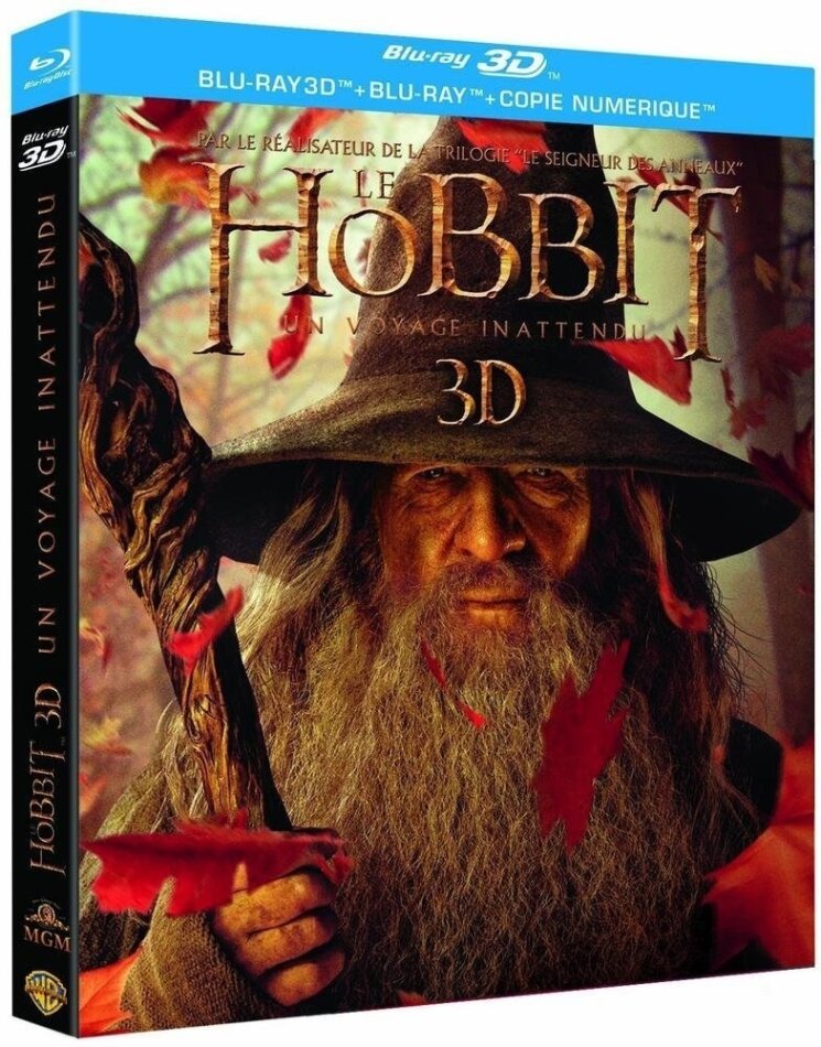 Le Hobbit - Un voyage inattendu (2012) 4 Blu-ray 3D (+2D)