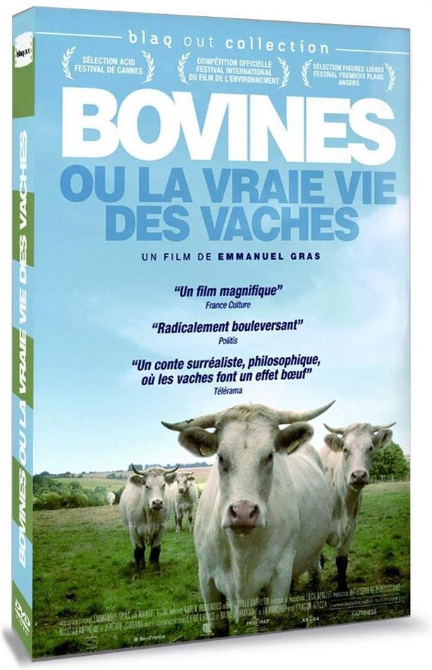Bovines ou la vraie vie des vaches