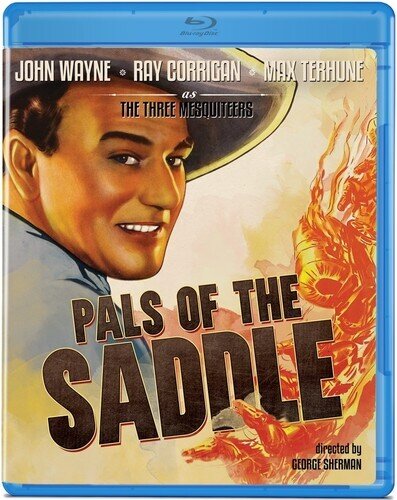 Pals of the Saddle (1938) s/w