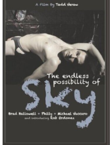 The Endless Possibility of Sky