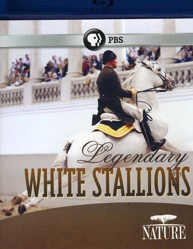 Nature - Legendary White Stallions