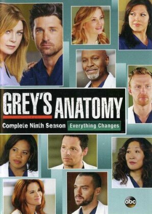 Grey's Anatomy - Season 9 (6 DVDs)